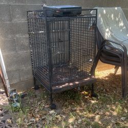 Large Parrot Cage 
