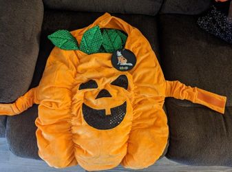 Doggy Halloween Costume