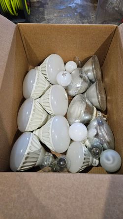 Bulk Light Bulb LED Halogen