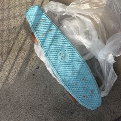 Penny Board Skateboard 
