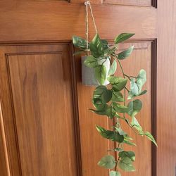 Target Artificial plant