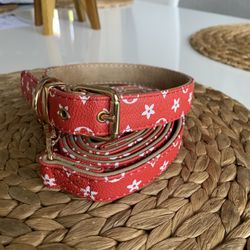 Luxury Dog Collar And Leasg Set Extra Large