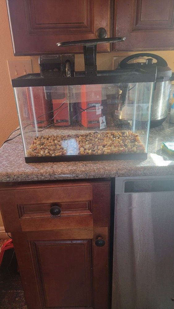 7 Gallon Fish Tank!