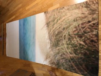 Back drop for photography approx 9ft long