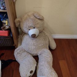 Costco Teddy Bear For Sale!!!!