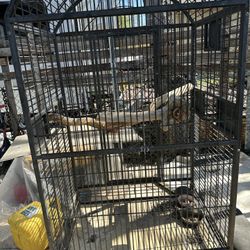 Big  Bird  Cage 