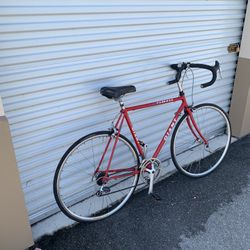 Giant Road Bike  Large Frame Bicycle 
