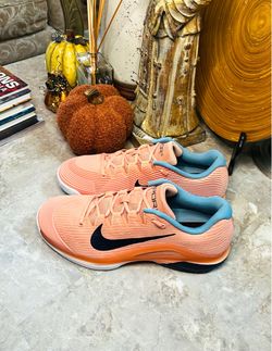 NikeCourt Air Zoom Vapor 12 HC Tennis Apricot/Blue/Obsidian Men 10.5 FV5552-800