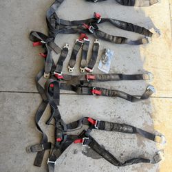 Rzr Harness / Seat Belt