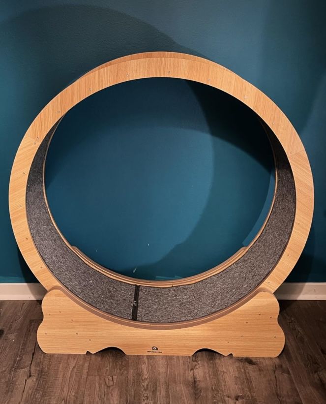 Exercise Wooden Wheel
