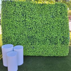 3D Green Wall Backdrop 