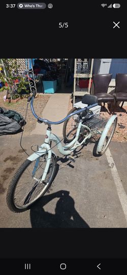 Adult Tricycle with Rear Basket