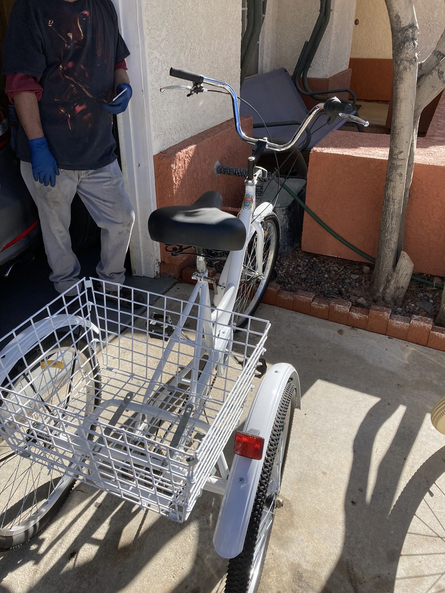Adult Tricycle