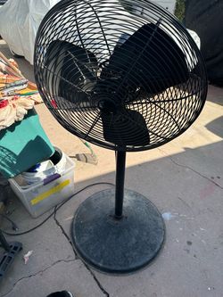Shop Fan