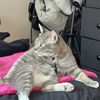 Sammy
