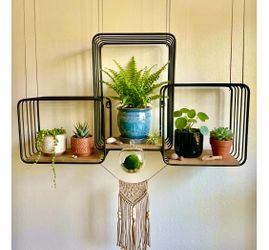 Decor on the wall