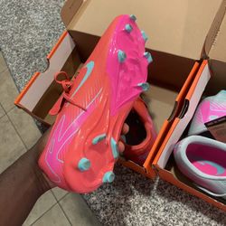 Each Shoe For 100$