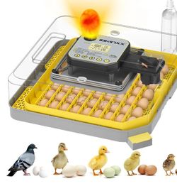 Incubator for Hatching Eggs-48 Egg Capacity, Auto Egg Turner & New Auto Precision Humidity Control System, 360° Clear Viewing 