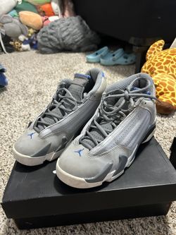 Jordan Wolf Gray 14s