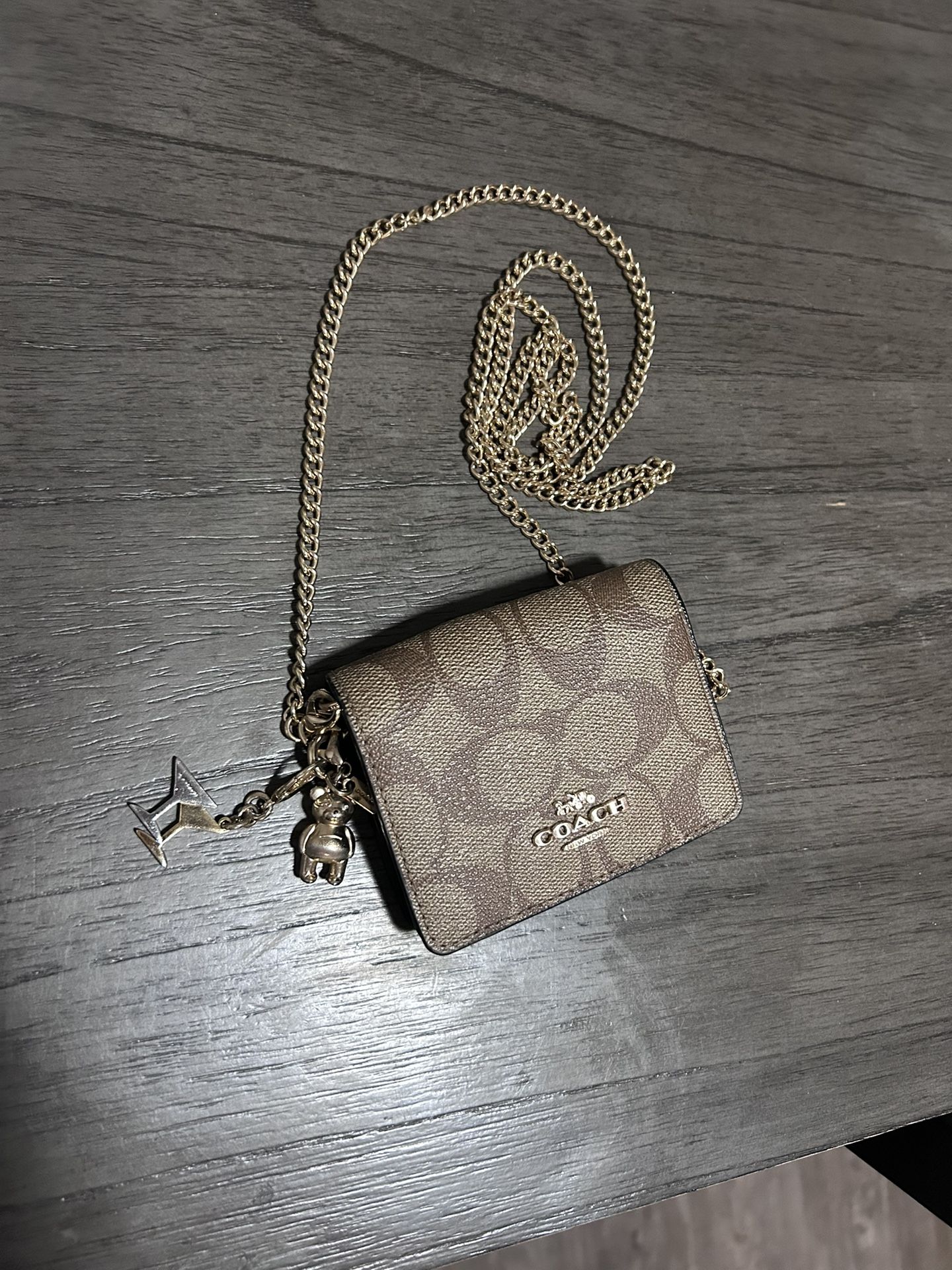 MK Mini Purse