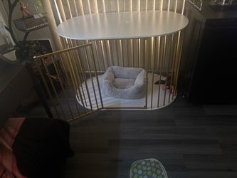 Indoor dog kennel