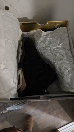 Air Jordan 6 retro