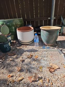 Plant pots