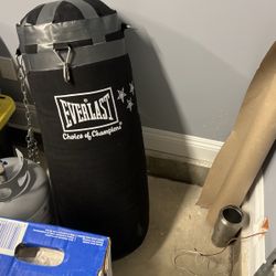 Everlast Punching Bag 