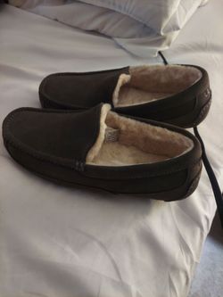 Ugg Ascot Slippers/Mens