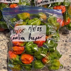 Carolina Reaper 🌶️ (Extremely Hot Peppers)