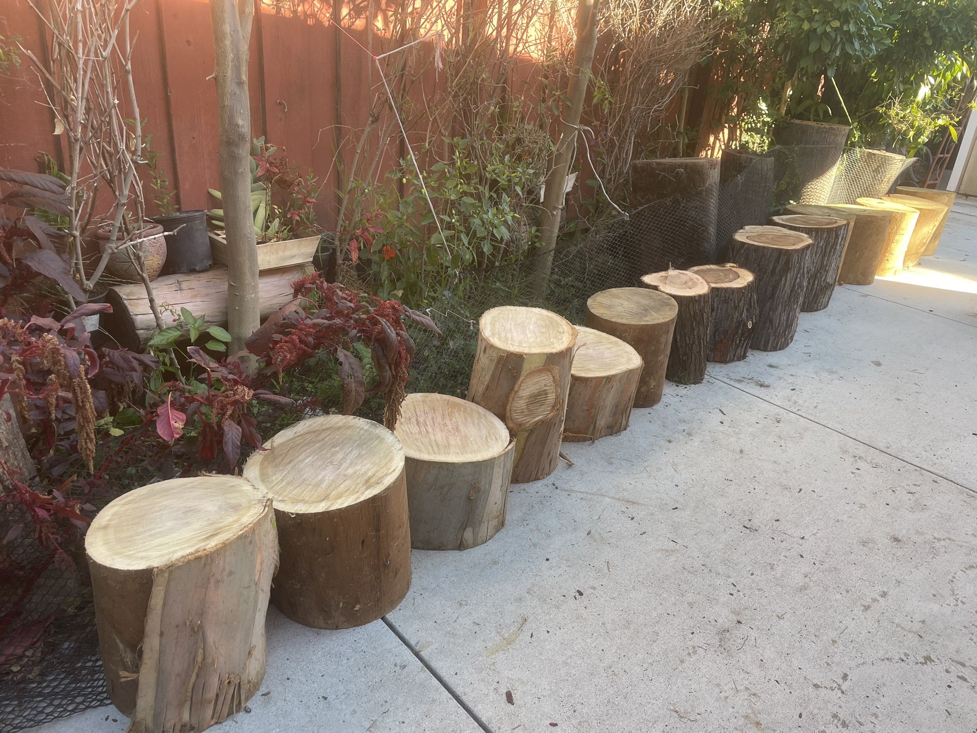 Wood Stumps 