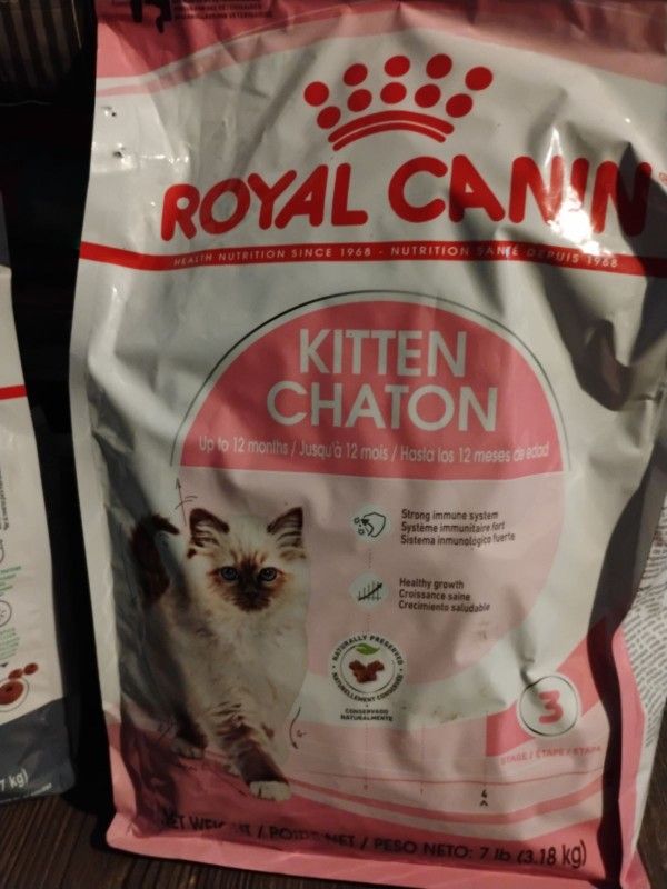 Cat Food At A Great Price