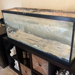 55 Gallon Aquarium