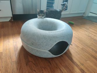 Catnosaurus Donut Cat Cave Bed