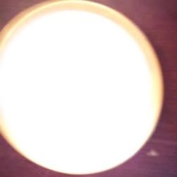 One 8" Gold Rim Pottery Barn - Cosmopolitan Plate