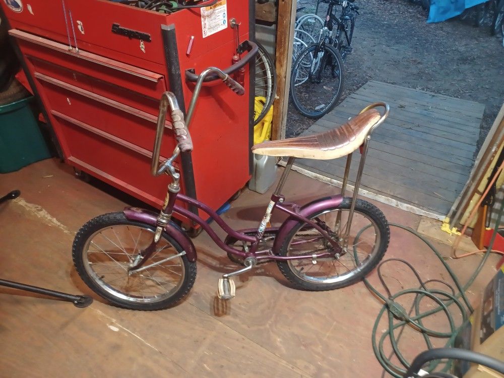 Western Flyer Buzz Bike Banana Seat Bike