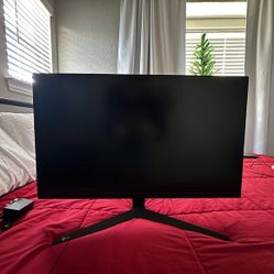 Computer Monitor