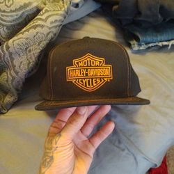 Brand New Harley Davidson Hat