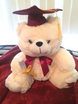 Graduation bear