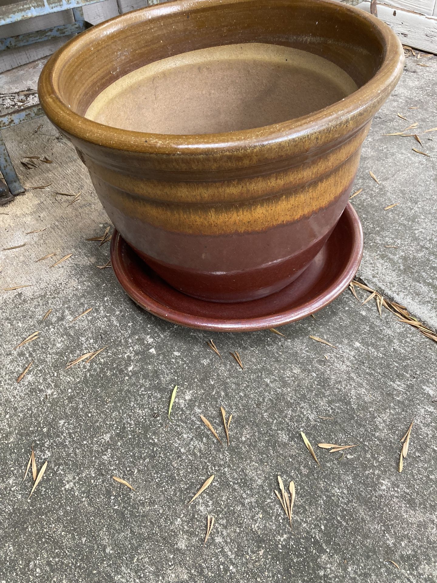 $15-Medium Size Heavy Plant Pot With Tray