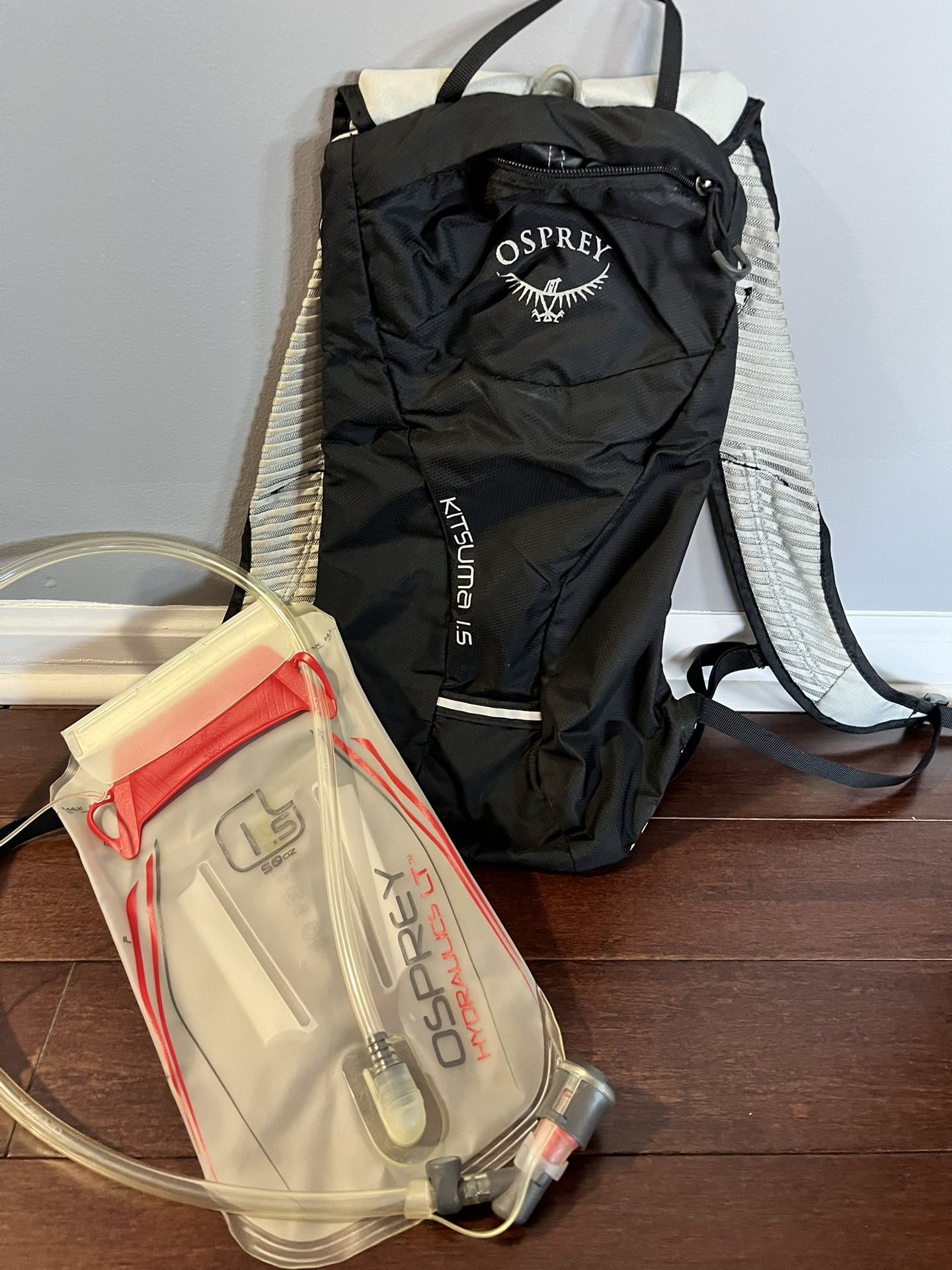 Osprey Daypack Backpack