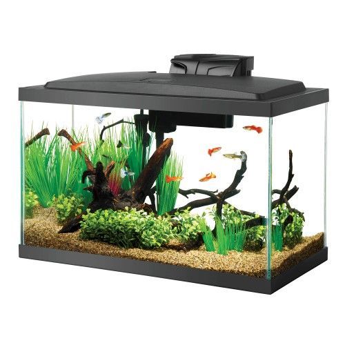 Aqueon Aquarium Starter Kit with LED Lighting 29 Gallon