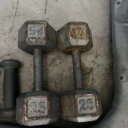 Olympic Weights/Workout Equipment 