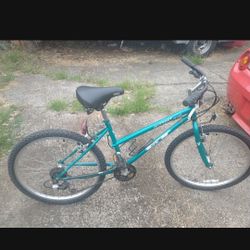 Mountain Bike 