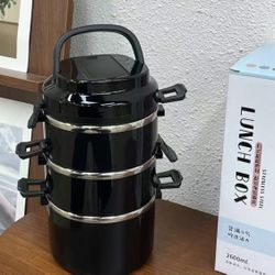 Insulated Stainless Steel Lunch Box, New