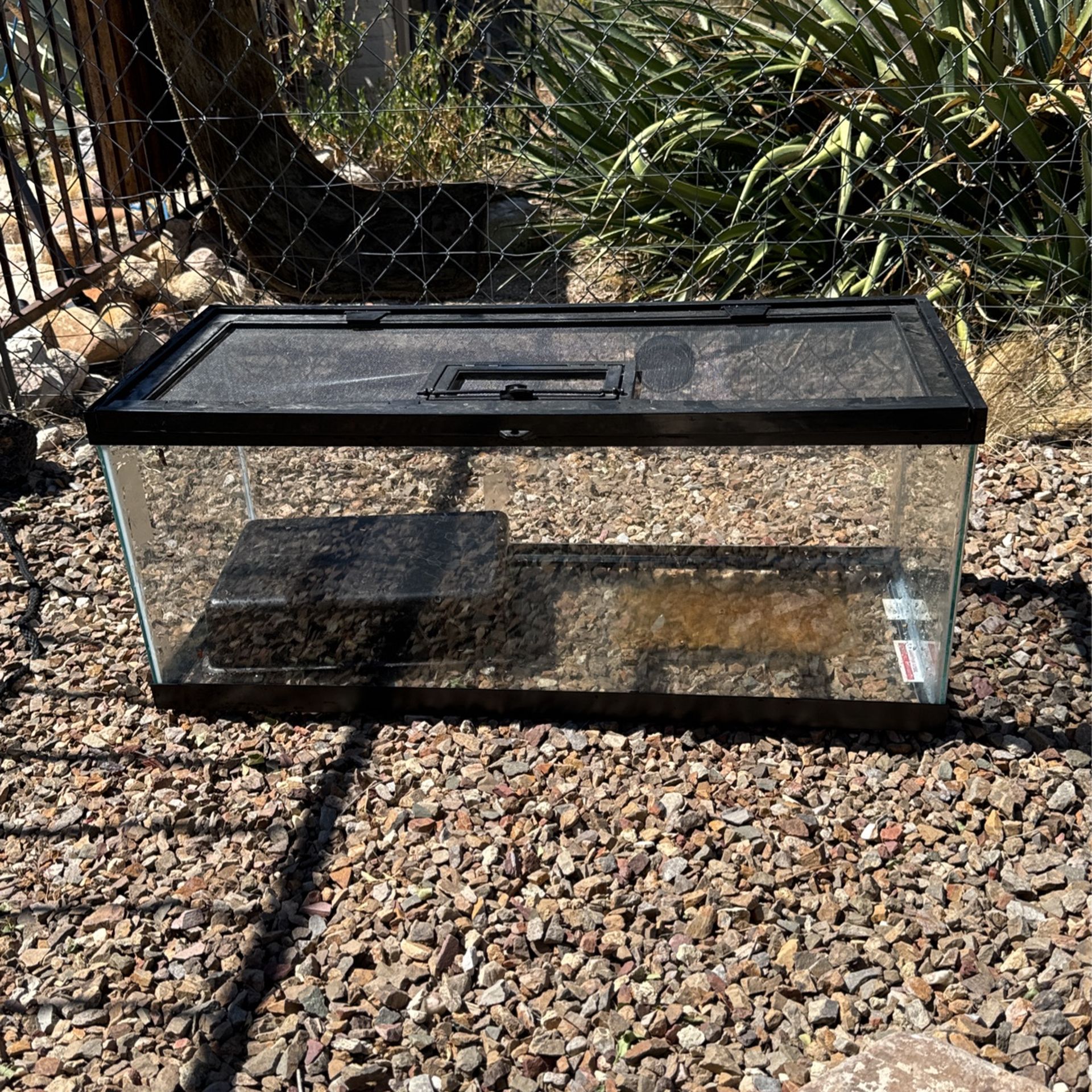 20 Gallon Tank/aquirium