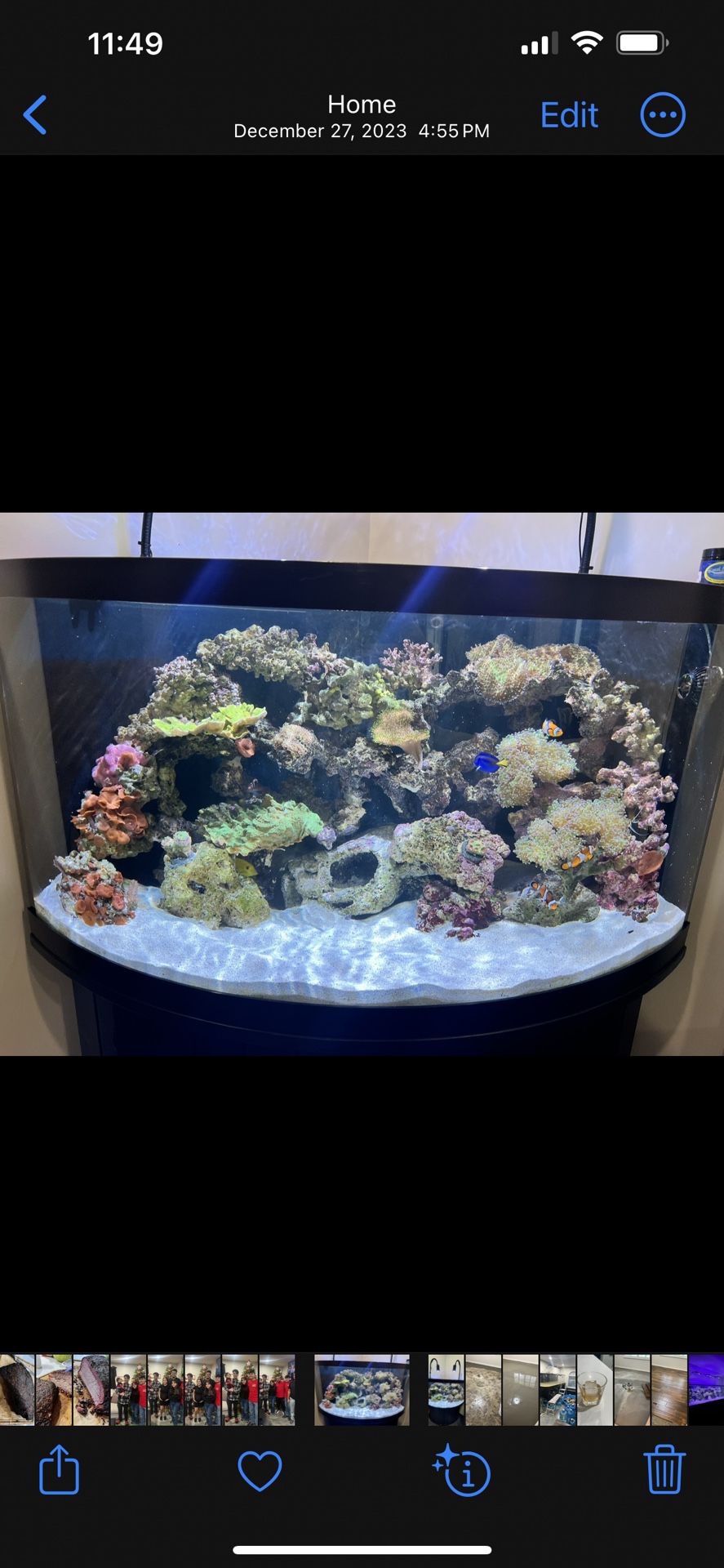 92 Gallon Reef Tank