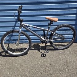 24" BMX Mosh Bike 