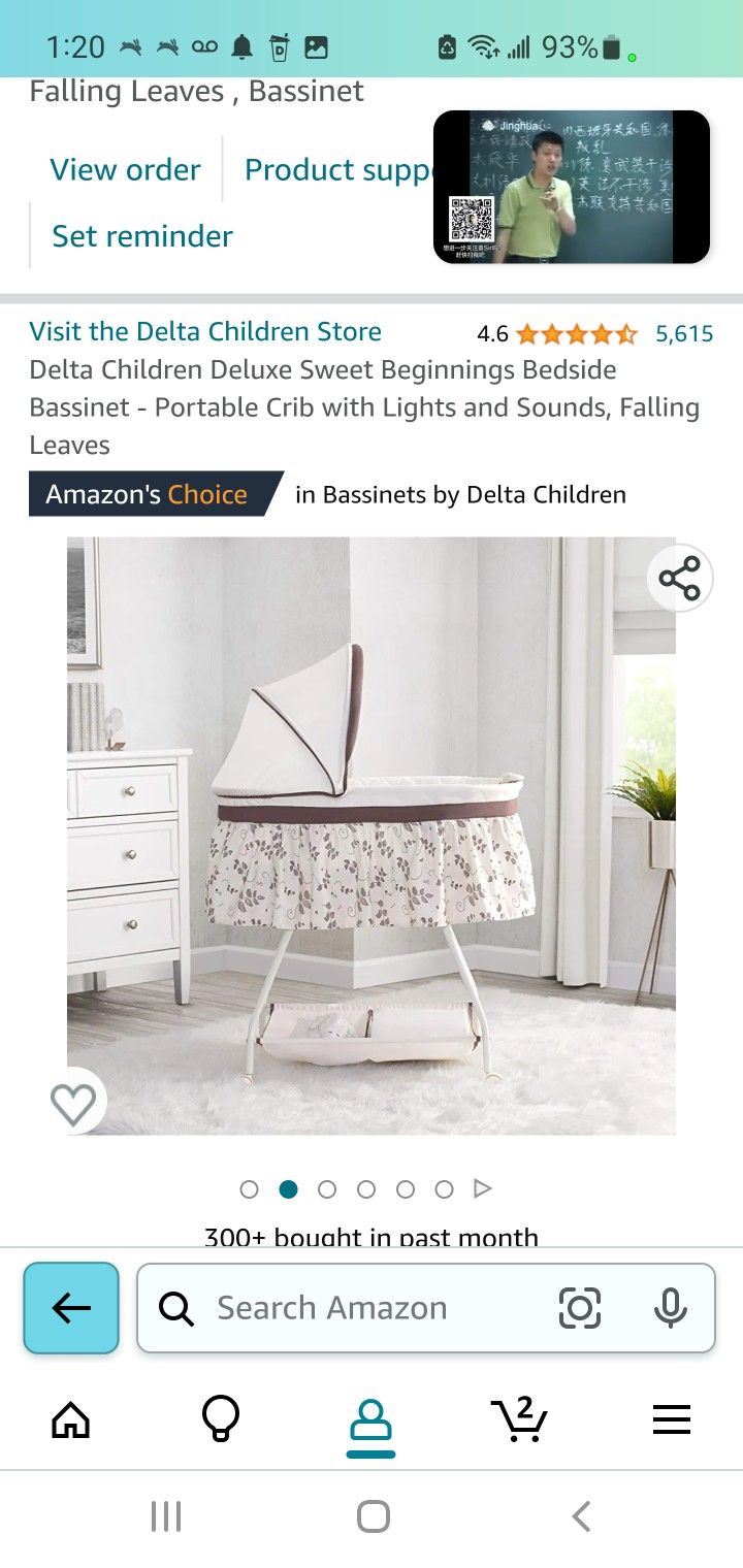 Delta Baby Bassinet