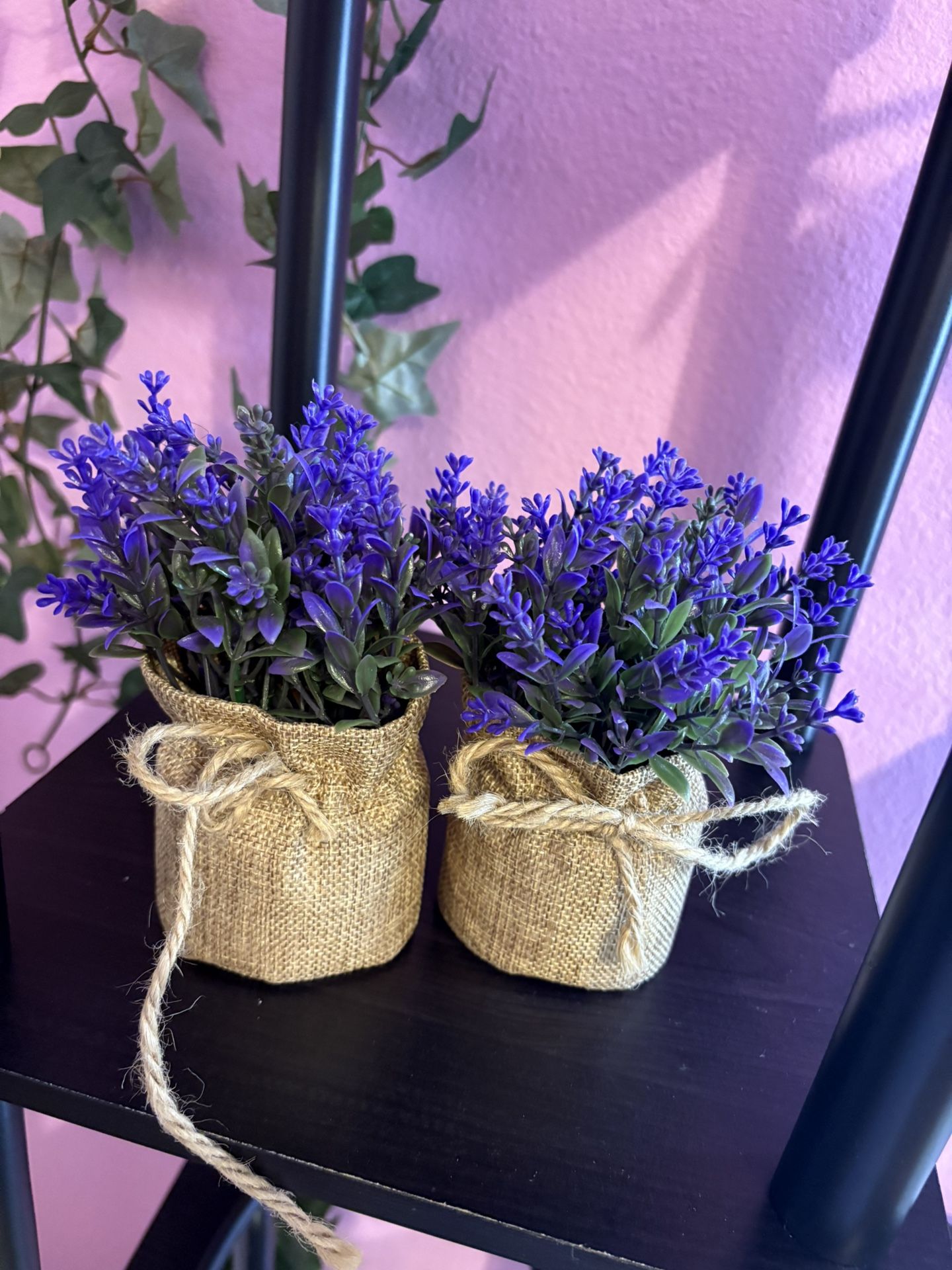 Decorative Plastic plant